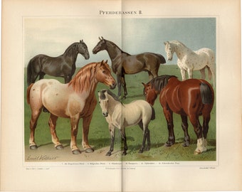 ヴィンテージの大型でカラフルなリトグラフ「ROMANCE」 - Albert