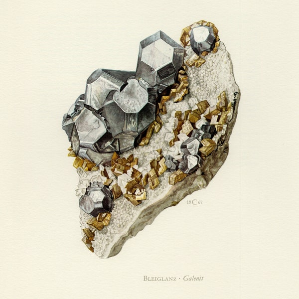 GALENA MINERAL PRINT Vintage lithograph from 1967