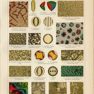 STAMPA A CRISTALLI LIQUIDI Litografia antica del 1907