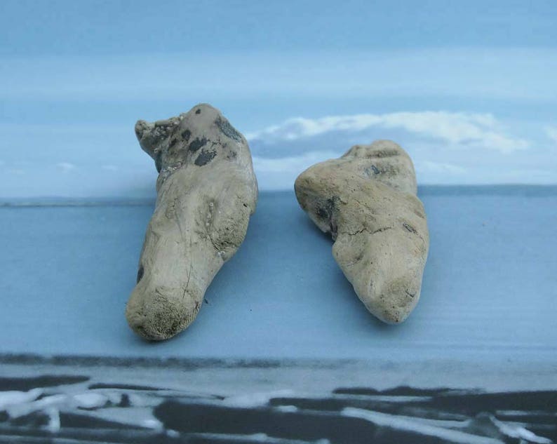 natural raw driftwood sculpture wood art supply 1086