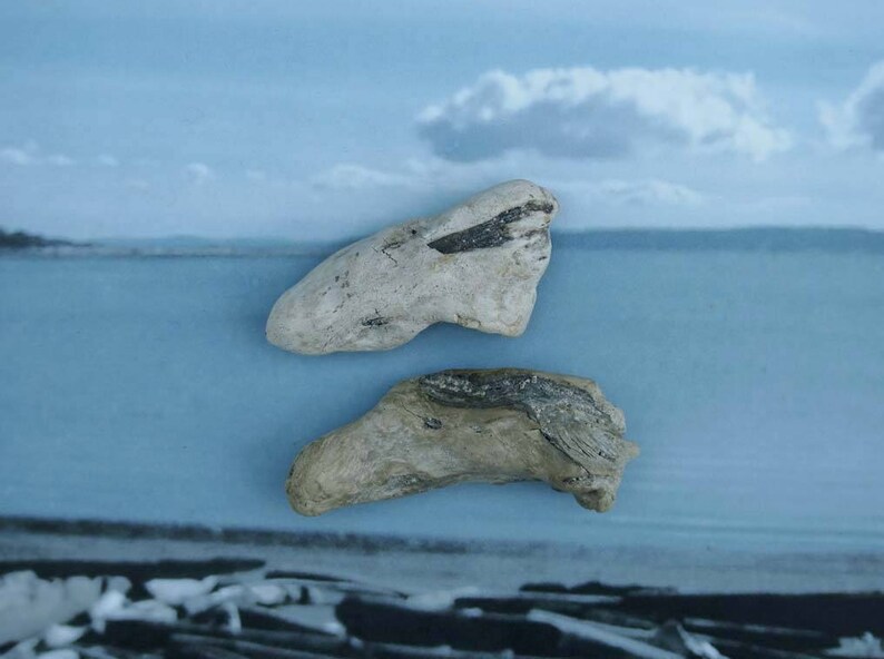 natural raw driftwood sculpture wood art supply 1086