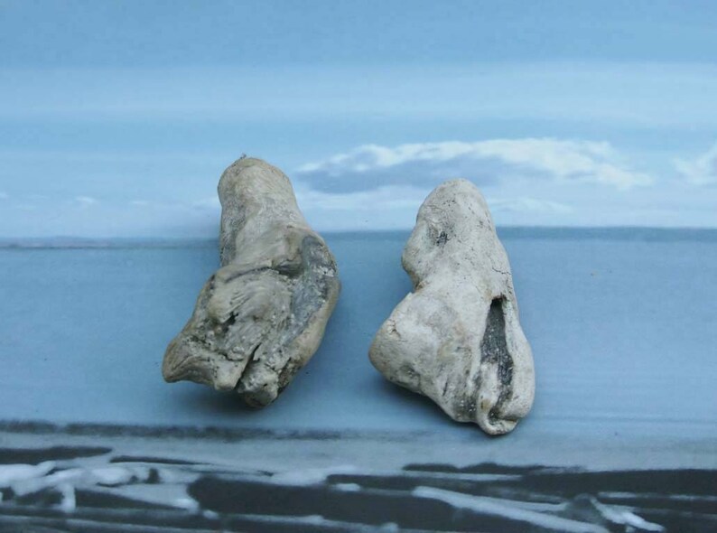natural raw driftwood sculpture wood art supply 1086