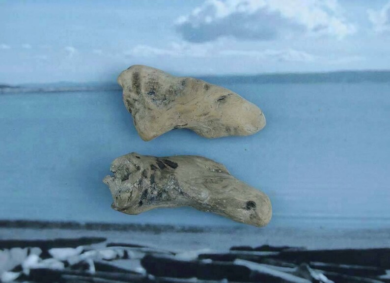 natural raw driftwood sculpture wood art supply 1086