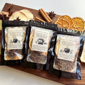 Autumn Simmer Potpourri Set: Dried Orange, Apple, Cinnamon & Spices