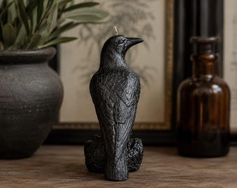 May include: A black candle shaped like a crow perched on a textured base. The candle features detailed molded feathers and a pointed beak, with a single white wick protruding from the top of the bird's head, standing in a vertical position.