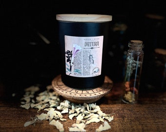 Datura - 5.75 oz  Soy & Coconut Candle | Dark Academia | Occult | Baneful Herbs | Spiritual | Witchy Candles | Vegan | Non-toxic