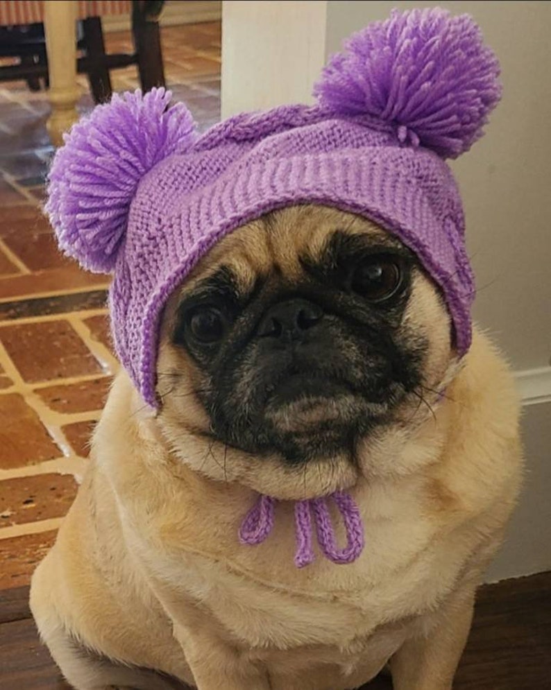 Knit dog hat for dog warmer dog beanie hat for small dog pug Etsy