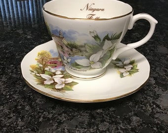 Duchess fine bone China made in England tea cup and saucer, Niagara Falls tea cup set, vintage tea cup set
