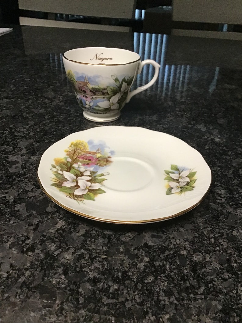 Duchess Fine Bone China Made in England Tea Cup and Saucer, Niagara