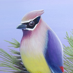 Cedar Waxwing ~ Watercolor Bird Giclée Art Print, Bird on a Branch, Pine Tree, Colorful Bird, Nature Print