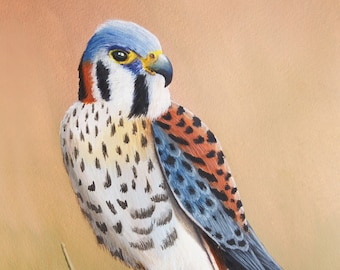Kestrel On Cattail ~ Watercolor Bird Giclée Art Print, Bird of Prey, Falcon, American Kestrel Painting, Wildlife Art