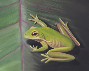 Frog ~ Watercolor Frog Giclée Art Print, Tree Frog, Frog Art, Frog Lover Gift
