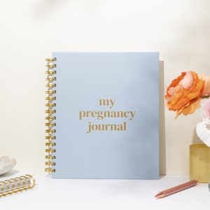 May include: A pale blue spiral-bound journal with gold lettering reading "my pregnancy journal". The journal is on a white surface, with a pen and flowers in the background.