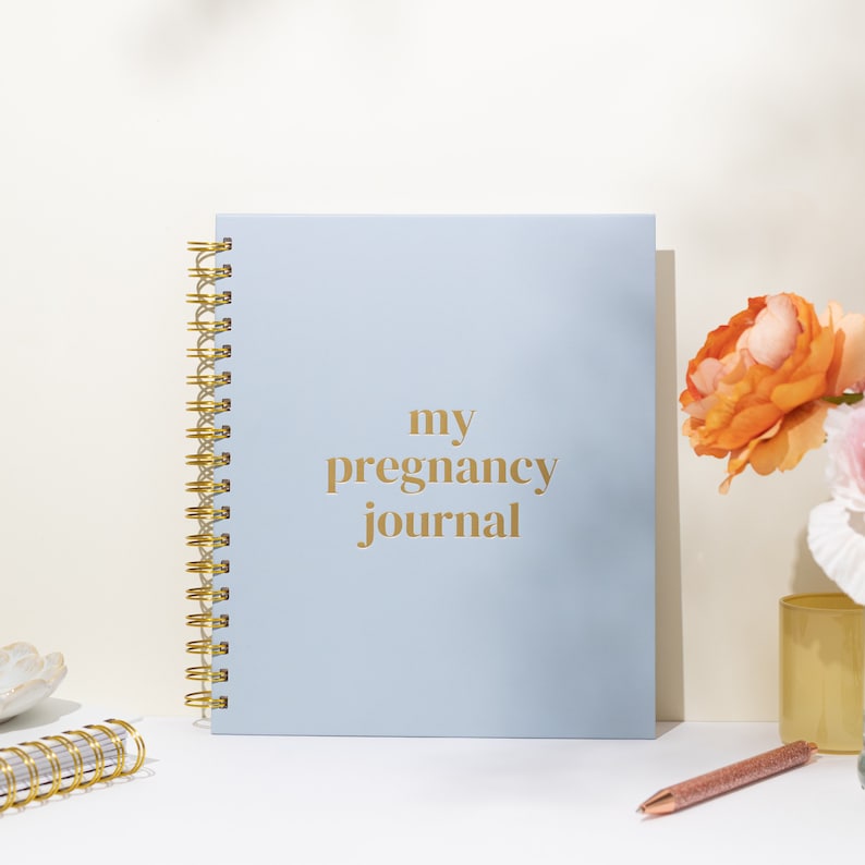 May include: A pale blue spiral-bound journal with gold lettering reading "my pregnancy journal". The journal is on a white surface, with a pen and flowers in the background.