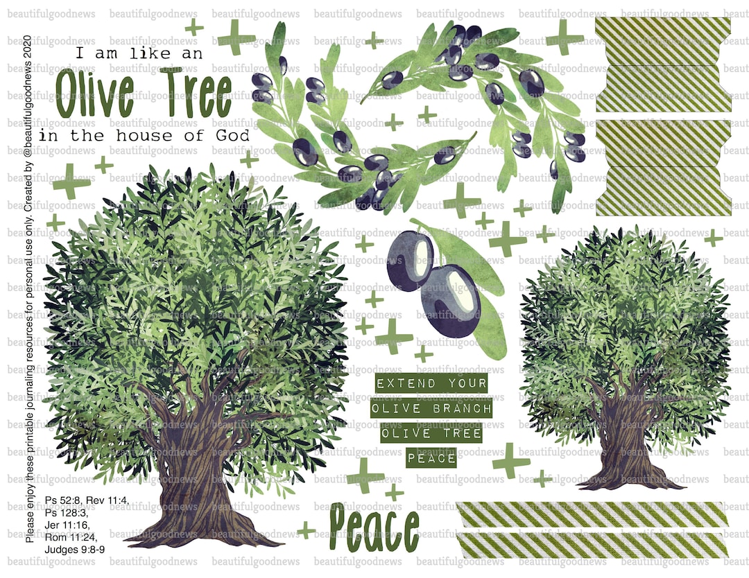 Olive Tree, Trees of the Bible, Beautifulgoodnews, Bible Journaling