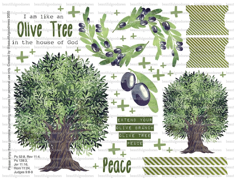 Olive Tree Trees of the Bible Beautifulgoodnews Bible Etsy