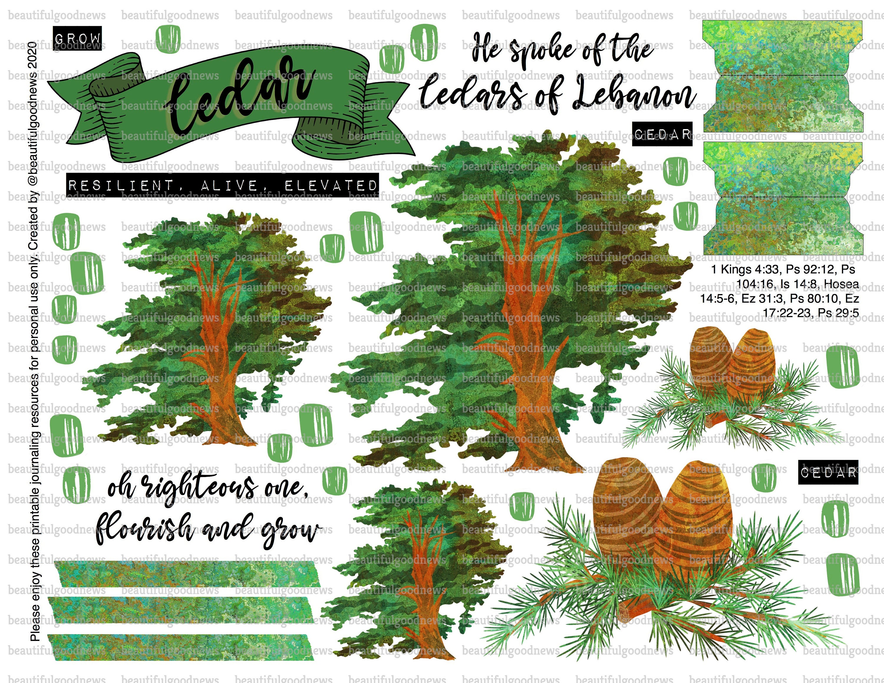 Cedar Trees of the Bible Beautifulgoodnews Bible Etsy