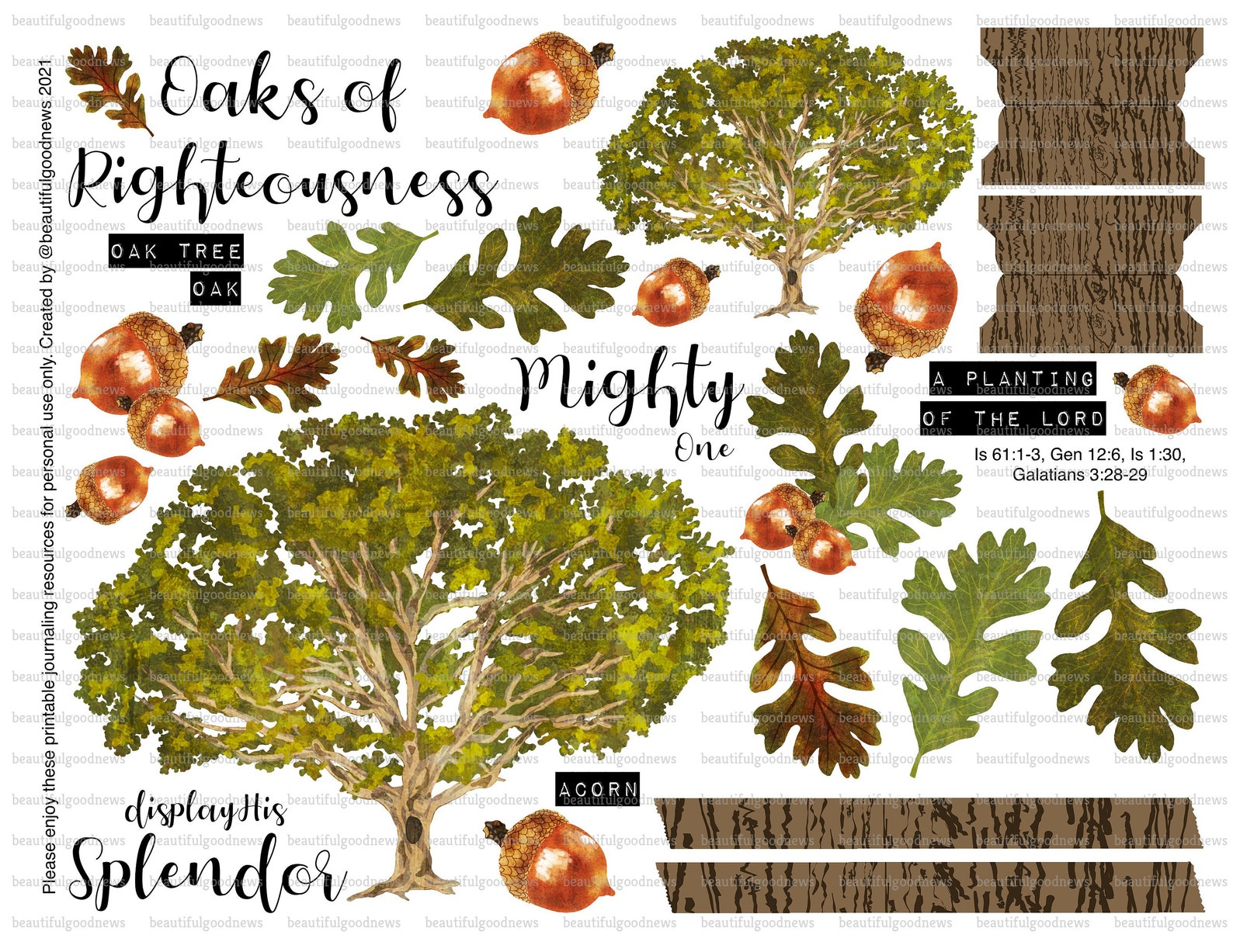 Oak Tree Trees of the Bible Beautifulgoodnews Bible Etsy