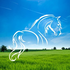 Paard lijn silhouet vinyl sticker | Mooie paard handgetekende sticker | Sticker voor autolaptop, tablet en meer | Paard geschenken