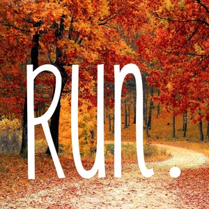 Run. Vinyl Decal | Deal for Window Phone Car Laptop Tablet Tumbler and Much More | Can Customize