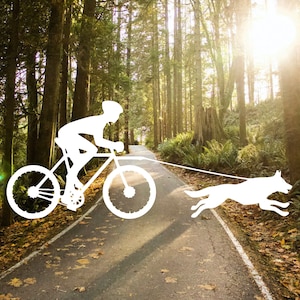 Bikejoring Vinyl Decal | Customize with Almost any Breed | Bijoring Decal for Car Laptop Tumbler Tablet Window and Much More