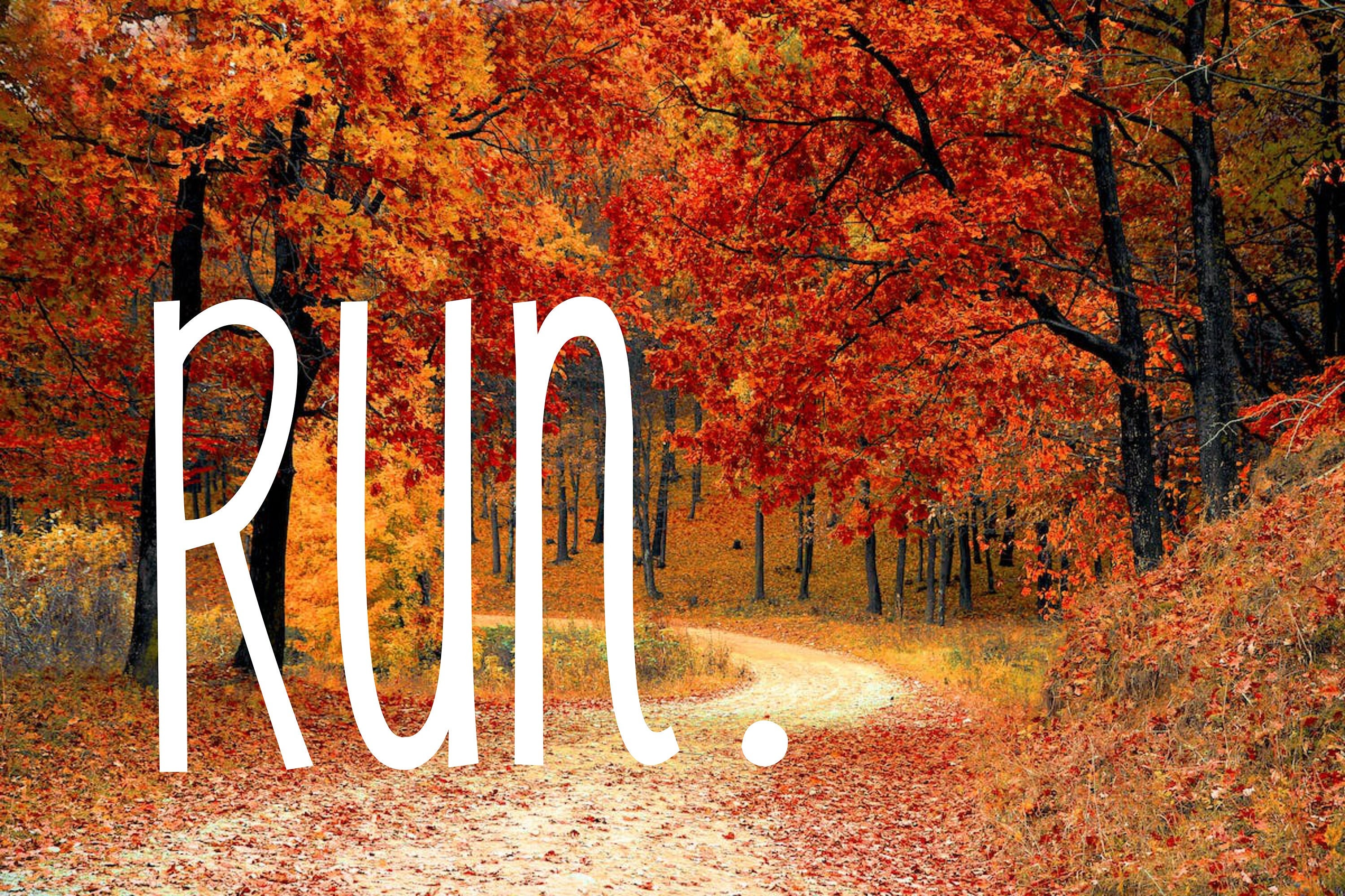 Run. Vinyl Decal | Deal for Window Phone Car Laptop Tablet Tumbler and Much More | Can Customize