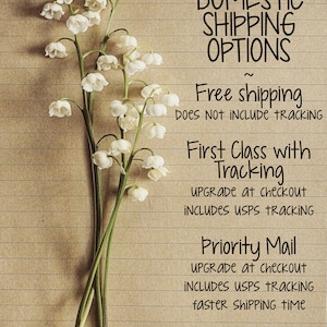 May include: A handwritten note on lined paper with the text "DOMESTIC SHIPPING OPTIONS" and details about free shipping, first class shipping with tracking, and priority mail shipping with tracking.