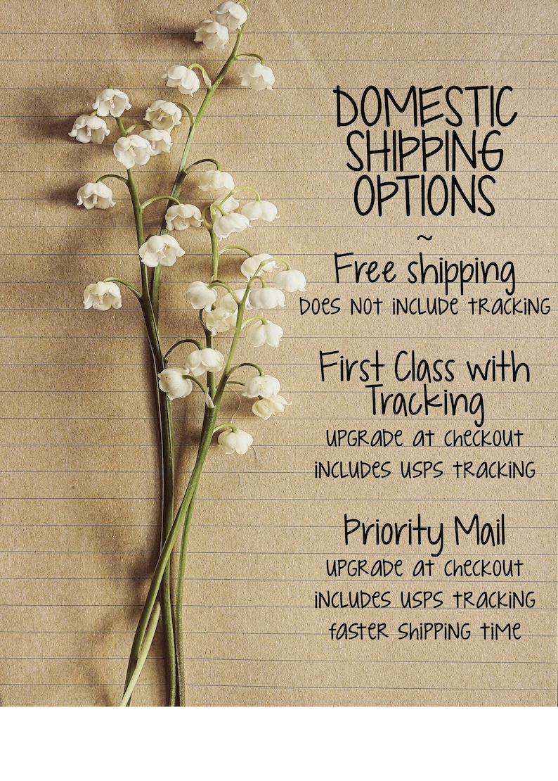May include: A handwritten note on lined paper with the text "DOMESTIC SHIPPING OPTIONS" and details about free shipping, first class shipping with tracking, and priority mail shipping with tracking.