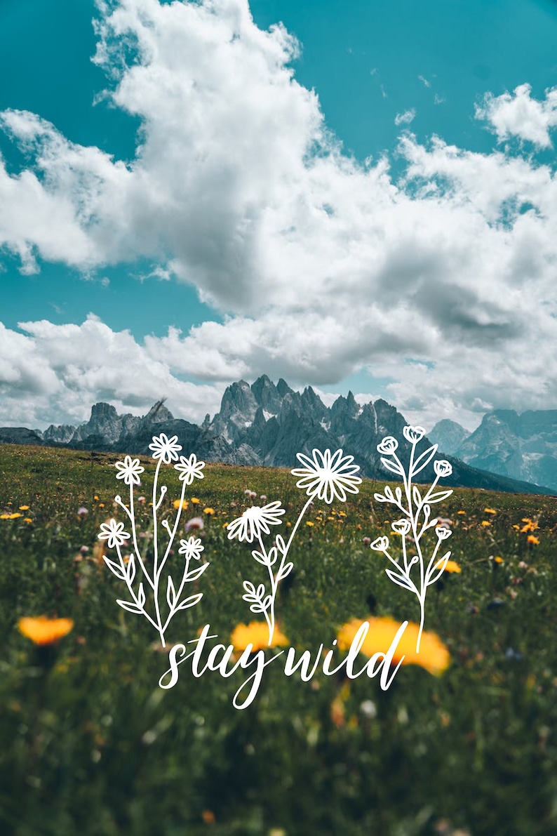 May include: A scenic landscape with a mountain range in the background. The foreground features a field of yellow wildflowers with a white outline of flowers and the text "stay wild".