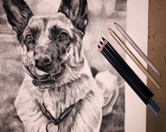 Custom Pet Portrait from Photo with background, Charcoal Drawing, Pet Remembrance, Pet Drawing, Custom Order