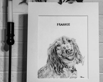 Custom Pet Portrait, Includes Pet’s Name, no background, Charcoal Drawing, Pet Remembrance, Pet Drawing, Custom Order