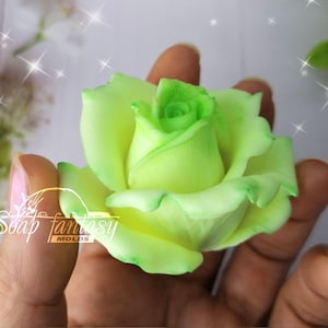 May include: A light green and white rose soap mold. The mold is in the shape of a rose with a single bloom. The mold is held in a hand.