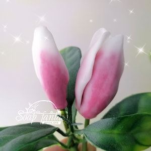Magnolia soulangeana buds #2-3 silicone soap mold - for soap making (Made of high quality silicone)