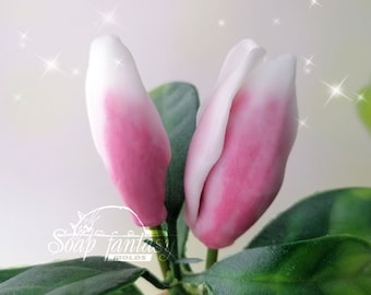 Magnolia Soulangeana Buds custom silicone Soap mold, Candle molds, Resin craft supplies