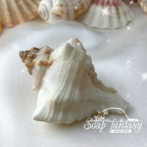 Sea shell #10 silicone soap mold - for soap making (Made of high quality silicone)