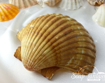 Seashell #4 Silicone Soap Mold - for soap making, Craft & Hobby
