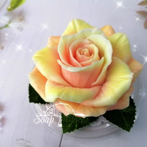 May include: A handcrafted soap shaped like a rose. The soap features a gradient of colors, with a peach center that fades to yellow on the outer petals. Green leaves and the text "Soap Te" are visible.