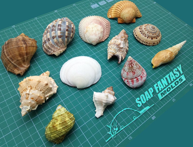 Maked from high quality silicone Sea shell #2 silicone soap mold for soap making