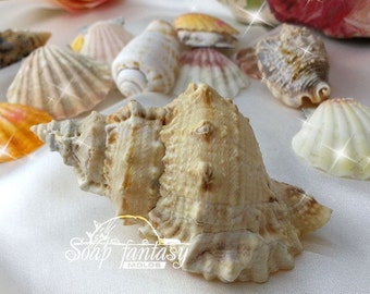Seashell #5 Silicone Soap Mold - for soap making, Craft & Hobby