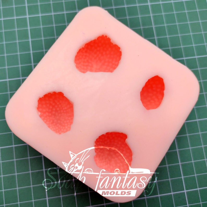 Moule à savon en silicone fraises moyennes pour la fabrication de savon fabriqué en silicone de haute qualité image 3
