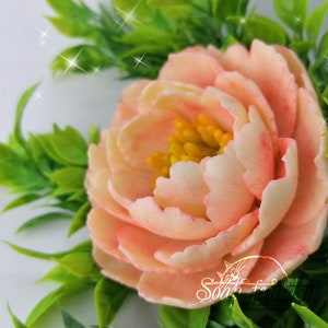 May include: A delicate peach-colored peony flower with a yellow center, surrounded by green leaves.