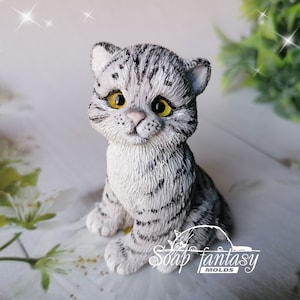 Thomas the Cat Silicone Soap Mold - Handmade, Custom for Crafts & Hobby