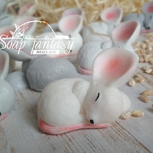 Sleeping little mouse Silicone Soap Mold - Handmade, Custom for Crafts & Hobby