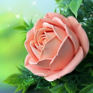 Stampo per sapone a forma di rosa – Stampo in silicone 3D a forma di fiore per sapone, candele, cera fusa, design floreale realistico – Rosa “Annette” immagine 12
