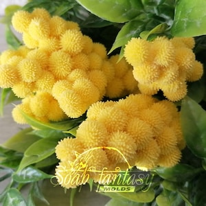 Mimosa Silicone Soap Mold - Handmade, Custom for Crafts & Hobby