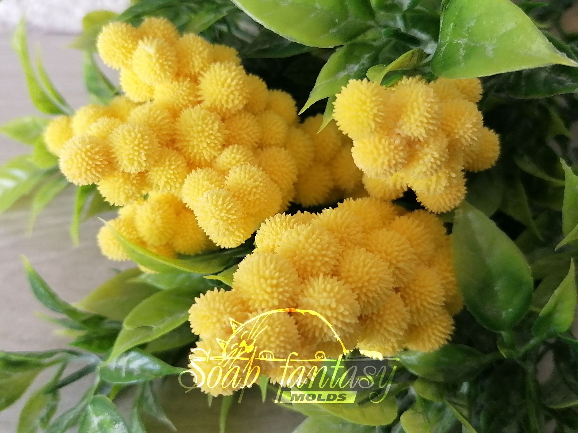 Mimosa Silicone Soap Mold - Handmade, Custom for Crafts & Hobby