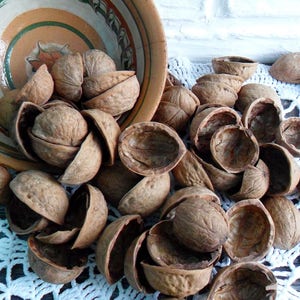 Set of 20 Walnut shell halves Organic Natural Wedding Ornament Crafts Supplies Natural Walnut halves creativity Walnut slices Natural wood