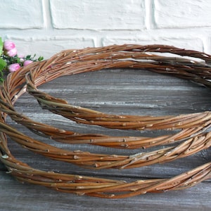 SET OF 4 Willow hoops 8&quot;, 10&quot;, 12&quot; Base Dreamcatcher Willow twig wreath Handmade craft supplies Traumfänger Tree branch decor Dreamcatcher