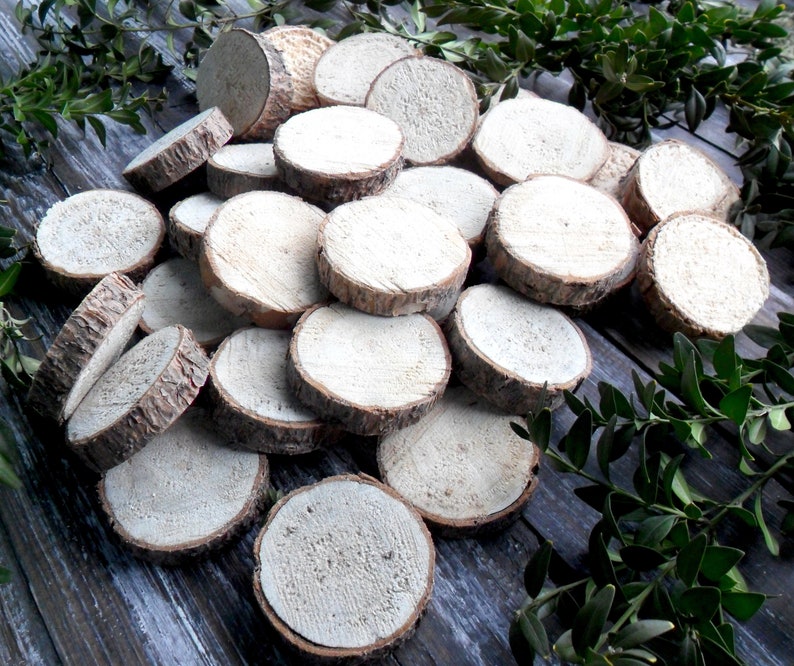2 Small Wood Slices for Crafts Tree Slices Branch Slices Etsy