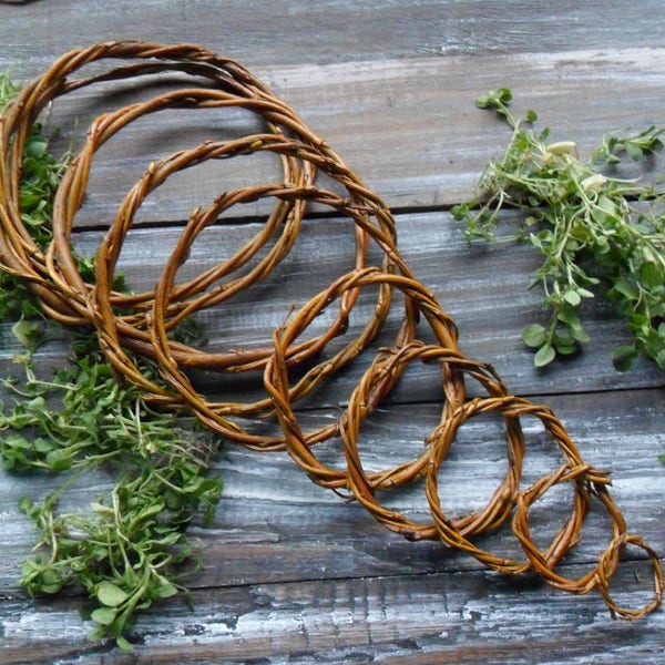 10 Anneaux de branches de saule 2 » - 6 » Brindille de saule naturel Couronne faite à la main Base Dreamcatcher Hoops Fournitures de bricolage Fournitures d’artisanat d’art Décor en bois